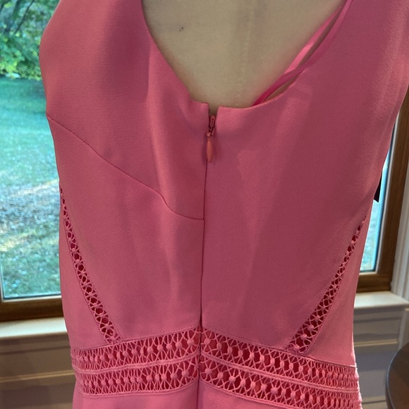 NWT Banana Republic Lace Trim Dress, Pink SIZE 6!! - Picture 4 of 9